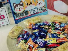 -艾贝尔宠物诊疗