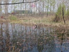 -微山湖红荷湿地景区