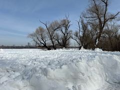 -长春市南湖公园