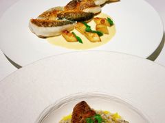 -Oyster Talks 四度蚝法餐厅