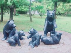 -济州岛泰迪熊博物馆