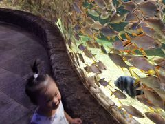 -多彩贵州城极地海洋世界