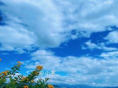 -大理洱海