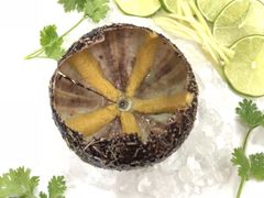 -QQ海鲜餐厅