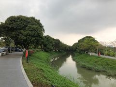 -长洲岛