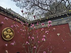 -西安市广仁寺