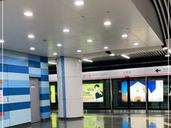 -大望路(地铁站)