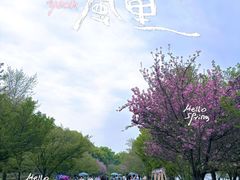 -团城山公园