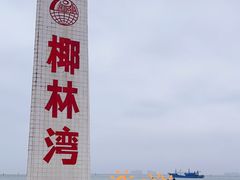 -东郊椰林
