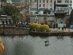 -石炮台公园