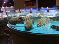-徐记海鲜(梅溪新天地店)