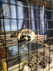 -酷嗒动物文化乐园(cutezoo西溪乐天城店)