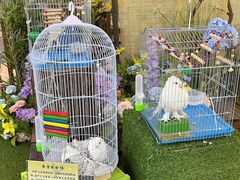-天虹购物中心(石路店)