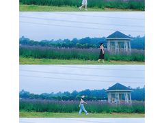 -紫颐香薰山谷景区