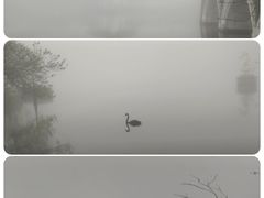 -茵特拉根酒店·西餐厅