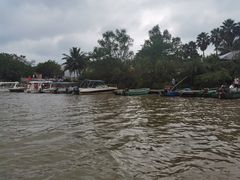 -东寨港红树林旅游区