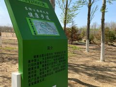 -东郊湿地公园