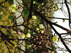 iphone_upload_pic-林屋洞景区