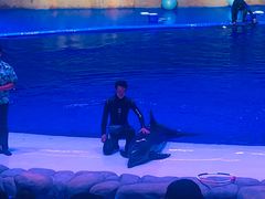 -华夏文旅海洋公园