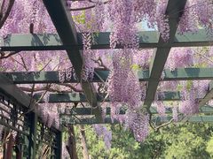 -北京市劳动人民文化宫(太庙)