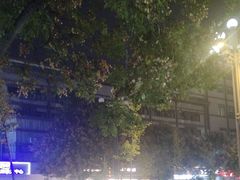 -一记洛阳菜·糖醋小排·水席(十字街店)