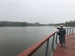 -东郊湿地公园