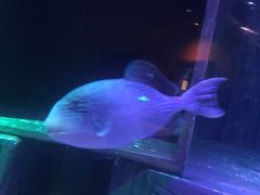 -沈阳海洋探索中心