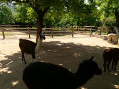 -西安秦岭野生动物园