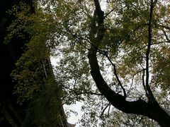 -南岳衡山风景名胜区-南岳大庙