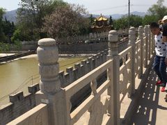 -东方巨龟苑景区