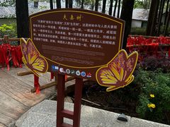 -蝴蝶泉公园