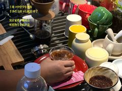 -中山市树木园
