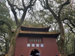 -普陀山风景名胜区-法雨禅寺