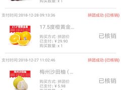 -绿叶水果(长沙蔡锷路店)
