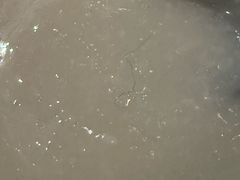 -广州花园酒店·凌璇阁旋转餐厅CAROUSEL360