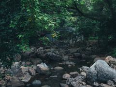 -广州市石门国家森林公园