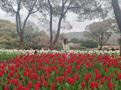 -无锡梅园公园