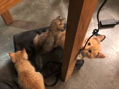 -时光转角咖啡馆(西康路店)