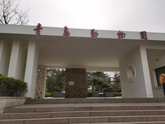 -青岛动物园