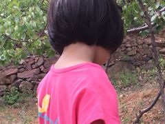 -草根堂农场
