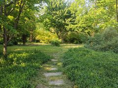 -国家植物园南园