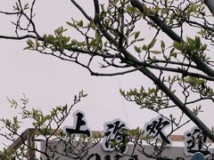 -陆家嘴中心绿地