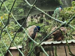 -梦幻奥陶纪景区