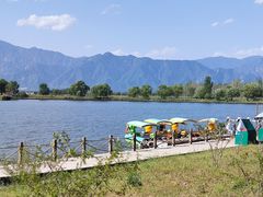 -野鸭湖国家湿地公园