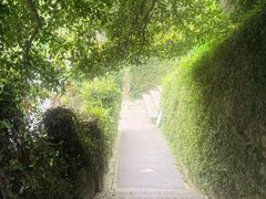 -简象咖啡CAFE ELE JANE(满陇桂雨店)