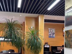 -海音琴行雅马哈钢琴·海伦·施特劳斯(金沙店)
