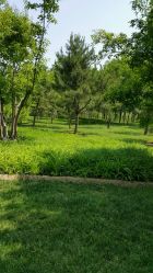 -大望京儿童游乐场