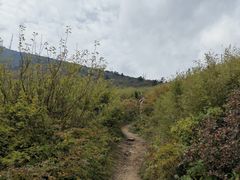 -秦岭风景区
