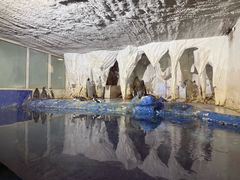 -太平洋海底世界