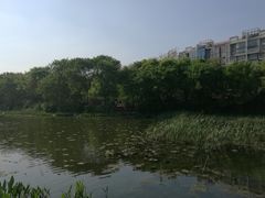 -新江湾城公园